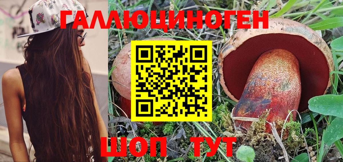 Галлюциногенные грибы Magic Shrooms  Псилоцибиновые грибы Cubensis  Вход с VPN  Назрань 